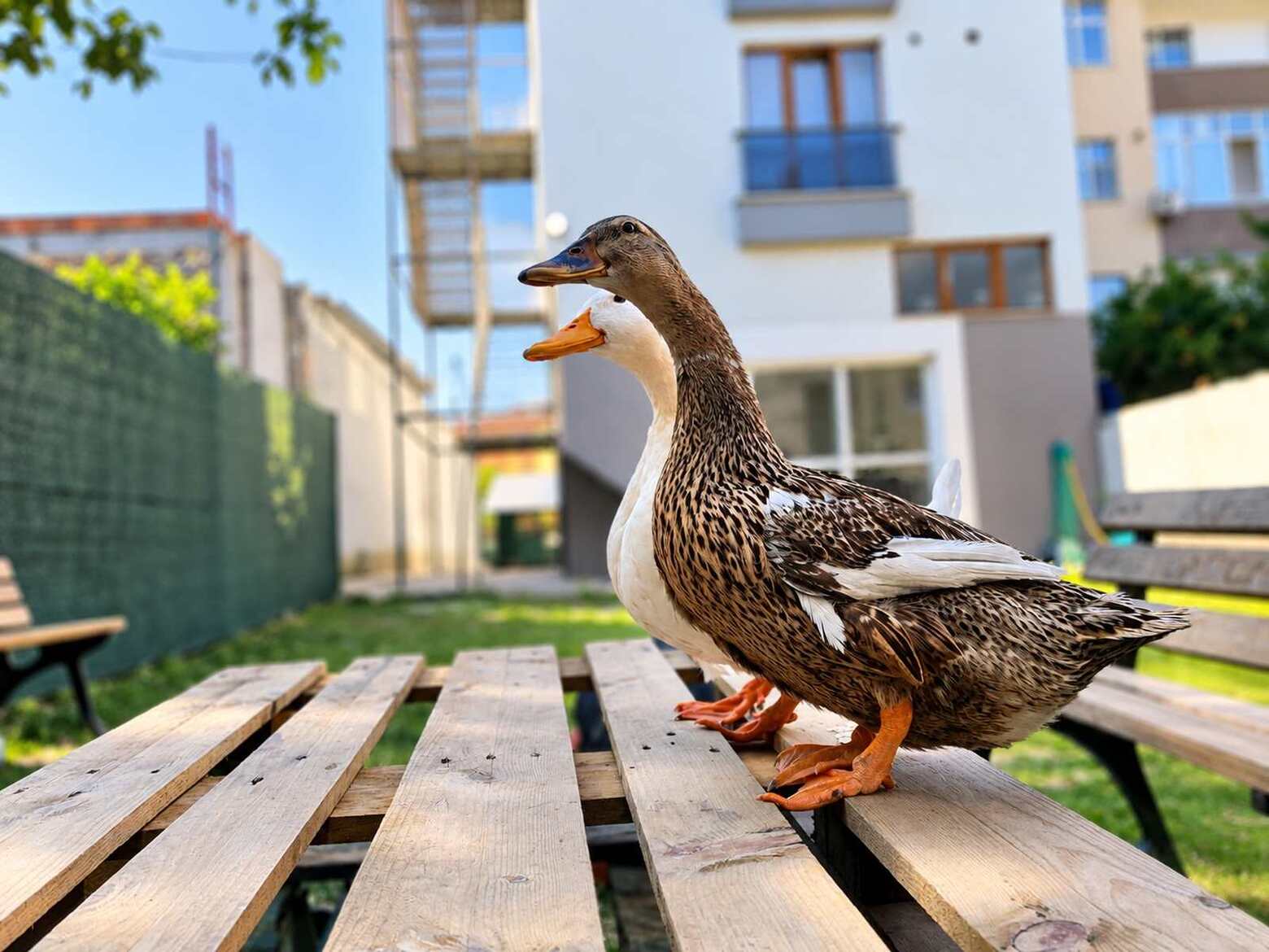 Emek Özel Eğitim Galeri